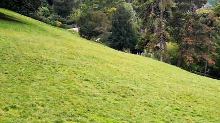 逆天纸飞机!带你冲上云霄